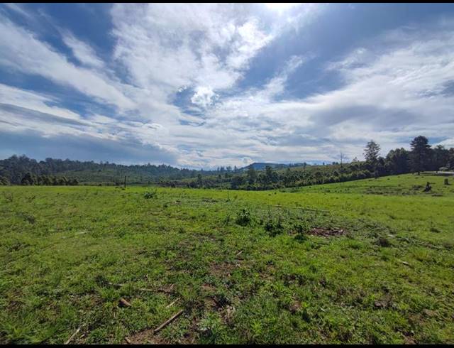 LAND FOR SALE IN WINTERSKLOOF